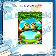 دفتر یادداشت مشایخ طرح گنجشک های آوازخوان کد A844 سایز A6 با جلد طلقی و فنر مارپیچ از بالا