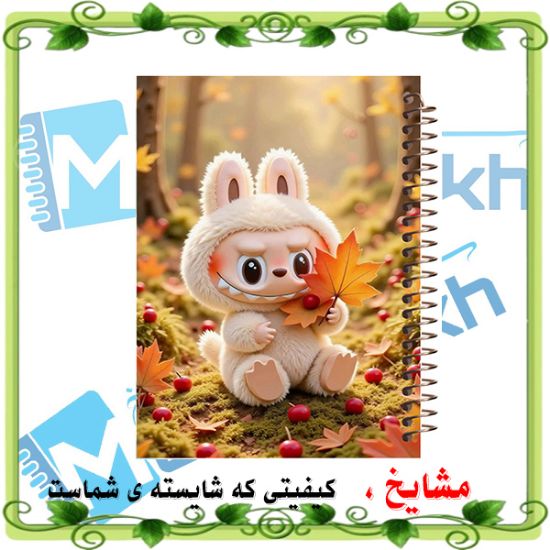دفتر مشق ۱۰۰ برگ مشایخ طرح لبوبو (LABUBU) مدل YN593 با جلد فانتزی و رنگارنگ
