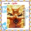 دفتر یادداشت ۱۰۰ برگ مشایخ طرح ناروتو (NARUTO) مدل انیمه کد VB244