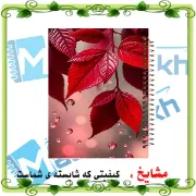 دفتر مشق 100 برگ مشایخ طرح برگ‌های سرخ، جلد پاییزی و جذاب 🍁✨