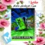 دفتر مشق ۶۰ برگ مشایخ با چاپ رنگی طرح ماینکرافت (Minecraft) با جلد طلقی و حاشیه‌های رنگی